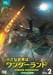 ϥ TVꥸʥ봰 vol.2
