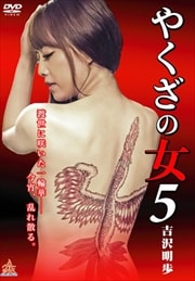 䤯ν5