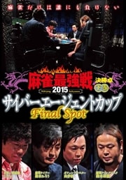 Ƕ2015 СȥåסFinal Spot  辡