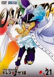 ONE PIECE ワンピース 17thシーズン ドレスローザ編 R-21