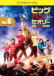 ビッグバン★セオリー <フィフス・シーズン> Vol.6