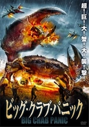 ビッグ・クラブ・パニック