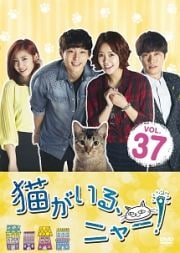 猫がいる、ニャー! Vol.37