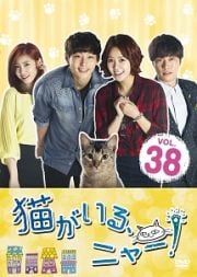 猫がいる、ニャー! Vol.38