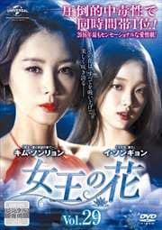 β Vol.29