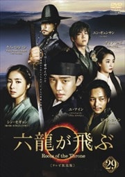 六龍が飛ぶ<テレビ放送版> 第29巻