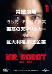 MR.ROBOTߥܥå