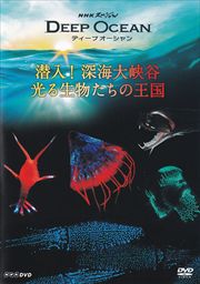 NHKڥ ǥ  綮ë ʪβ