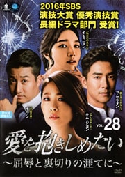 愛を抱きしめたい 〜屈辱と裏切りの涯てに〜 Vol.28