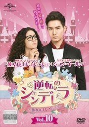 žΥǥϥ쥤ä Vol.10