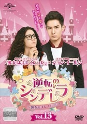 žΥǥϥ쥤ä Vol.13