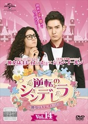 žΥǥϥ쥤ä Vol.14