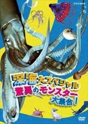 祹ڥ ðۤΥ󥹥罸硪