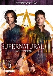 ѡʥ 㥵ƥ󡦥 Vol.6