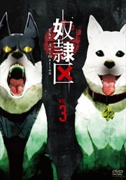  The Animation 3