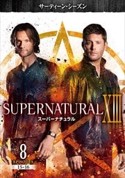ѡʥ 㥵ƥ󡦥 Vol.8