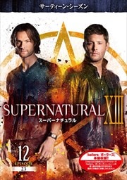 ѡʥ 㥵ƥ󡦥 Vol.12