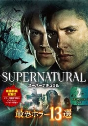 ѡʥ Ƕۥ顼13 Vol.2