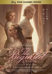 The Beguiled ӥ ˾Τᤶ
