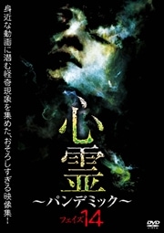 ѥǥߥå ե14