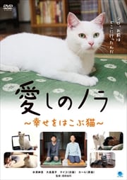 ΥΥ Ϥǭ