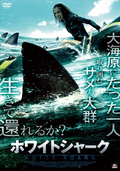 ۥ磻ȥ㡼