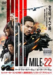 ޥ22