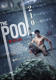 THE POOL ס
