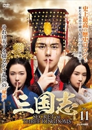  Secret of Three Kingdoms Vol.11