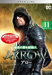 ARROW 㥻֥󥹡 Vol.11