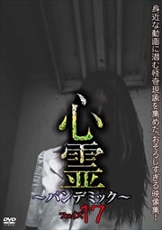  ѥǥߥå ե17