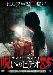 ۤȤˤäΥӥǥ 85