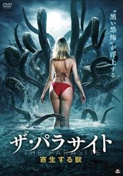 ѥ饵 