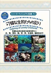 シリーズ・ヴィジュアル図鑑31 可憐な生物たちの彩り