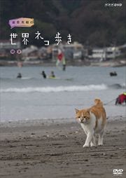 ͥ⤭ 