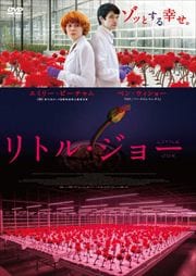 ȥ롦硼