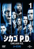  P.D. 6 Vol.1