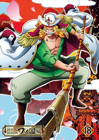 ONE PIECE ワンピース 20thシーズン ワノ国編 R-18 / 田中真弓 - DVDレンタル ぽすれん