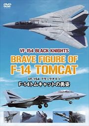 VF-154 ֥åʥ F-14ȥ७åȤͦ