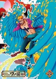 One Piece ワンピース thシーズン ワノ国編シリーズ Dvdレンタル ぽすれん