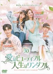 ϥӥ塼ƥե롢ϥե Vol.30