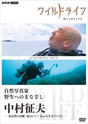磻ɥ饤 ̿ ؤΤޤʤ 1 ¼