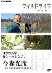 磻ɥ饤 ̿ ؤΤޤʤ 2 ɧ