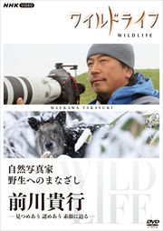 磻ɥ饤 ̿ ؤΤޤʤ 3 
