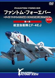 եȥࡦեС  F-4E եȥII ܤζ³50ǯ   ϡĹҶF-4EJ