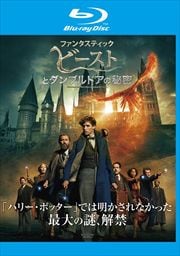 Blu-rayۥե󥿥ƥåӡȤȥ֥ɥ̩