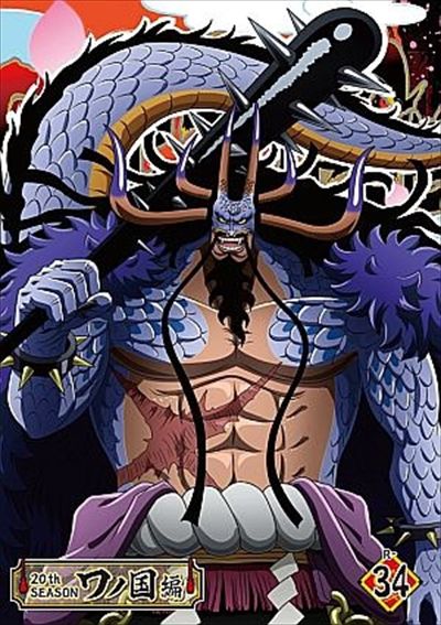 ONE PIECE　ワノ国　1～24  DVD  レンタル