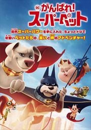 DC Ф졪ѡڥå