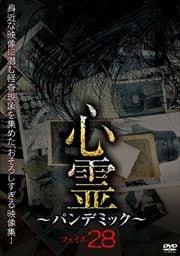  ѥǥߥå ե28