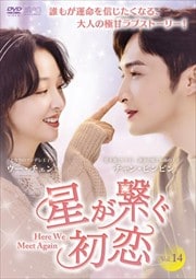 ҤHere We Meet Again Vol.14